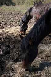 Similar image 8102920