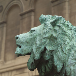 Similar image 8102921