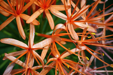 Similar image 8102930