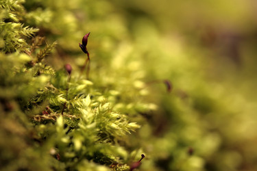 Similar image 8102933