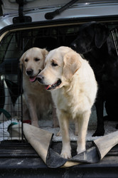 Similar image 8102938