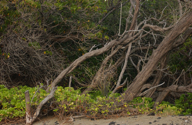 Similar image 8102946