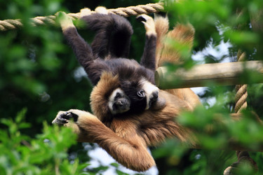 Similar image 8102959