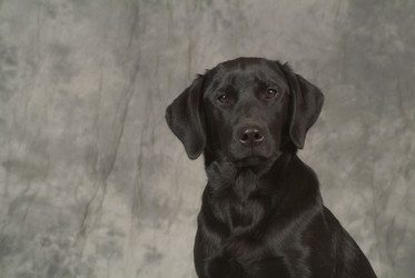 Similar image 8102962