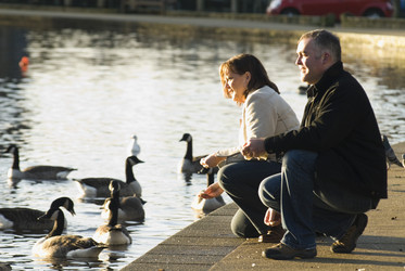 Similar image 8102964