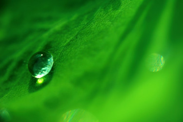 Similar image 8102966