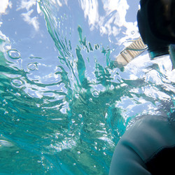 Similar image 8102971