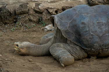 Similar image 8102972