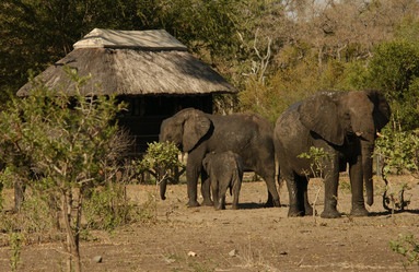 Similar image 8102975