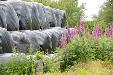 Similar image 8102976