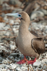 Similar image 8102978