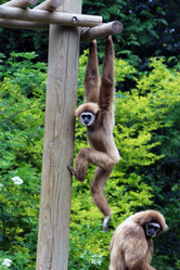 Similar image 8102979