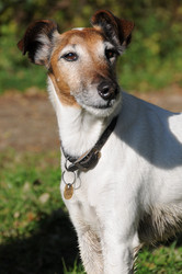 Similar image 8102984