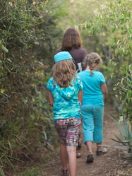 Similar image 8102985