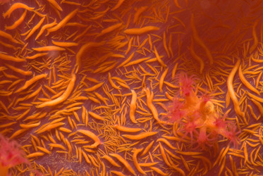 Similar image 8102987