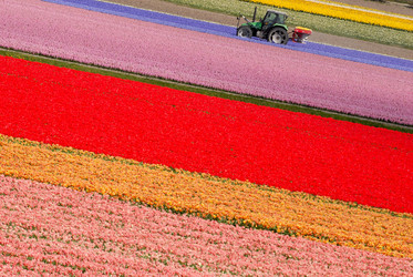 Similar image 8102992