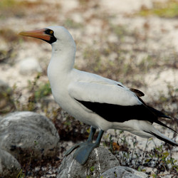 Similar image 8102994