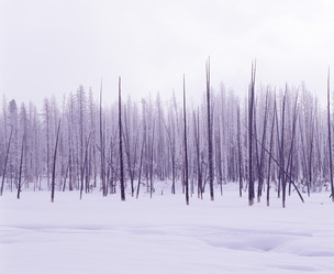 Similar image 8103001