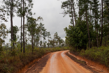 Similar image 8103003