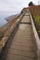 Similar image 8103005