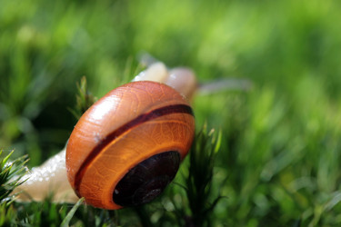 Similar image 8103007