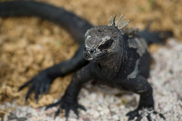 Similar image 8103019