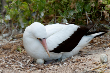 Similar image 8103021