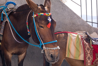 Similar image 8103023