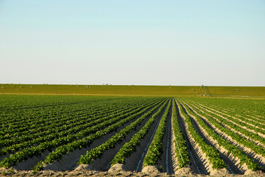 Similar image 8103024