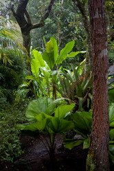 Similar image 8103026