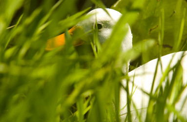 Similar image 8103027