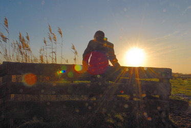 Similar image 8103031