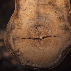 Similar image 8103034