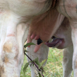 Similar image 8103045