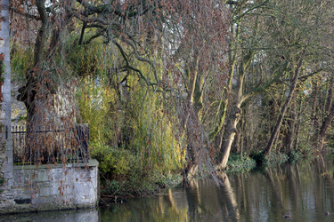 Similar image 8103053