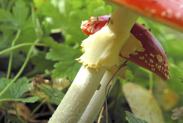 Similar image 8103063