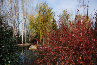 Similar image 8103075