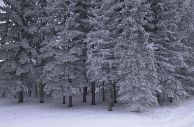 Similar image 8103084