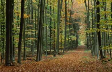 Similar image 8103086