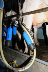 Similar image 8103095