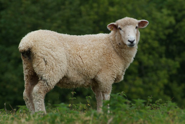 Similar image 8103098