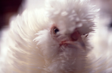 Similar image 8103105