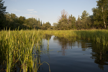 Similar image 8103106