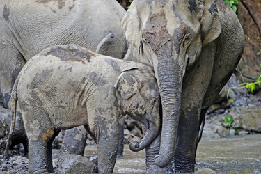 Similar image 8103113