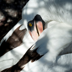 Similar image 8103114