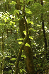 Similar image 8103115