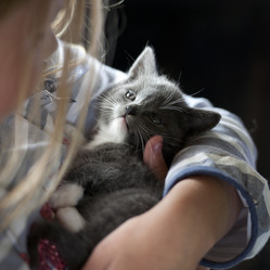 Similar image 8103123