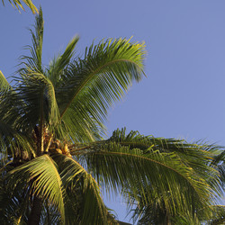 Similar image 8103132