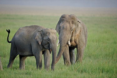 Similar image 8103134