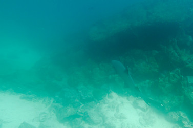 Similar image 8103135